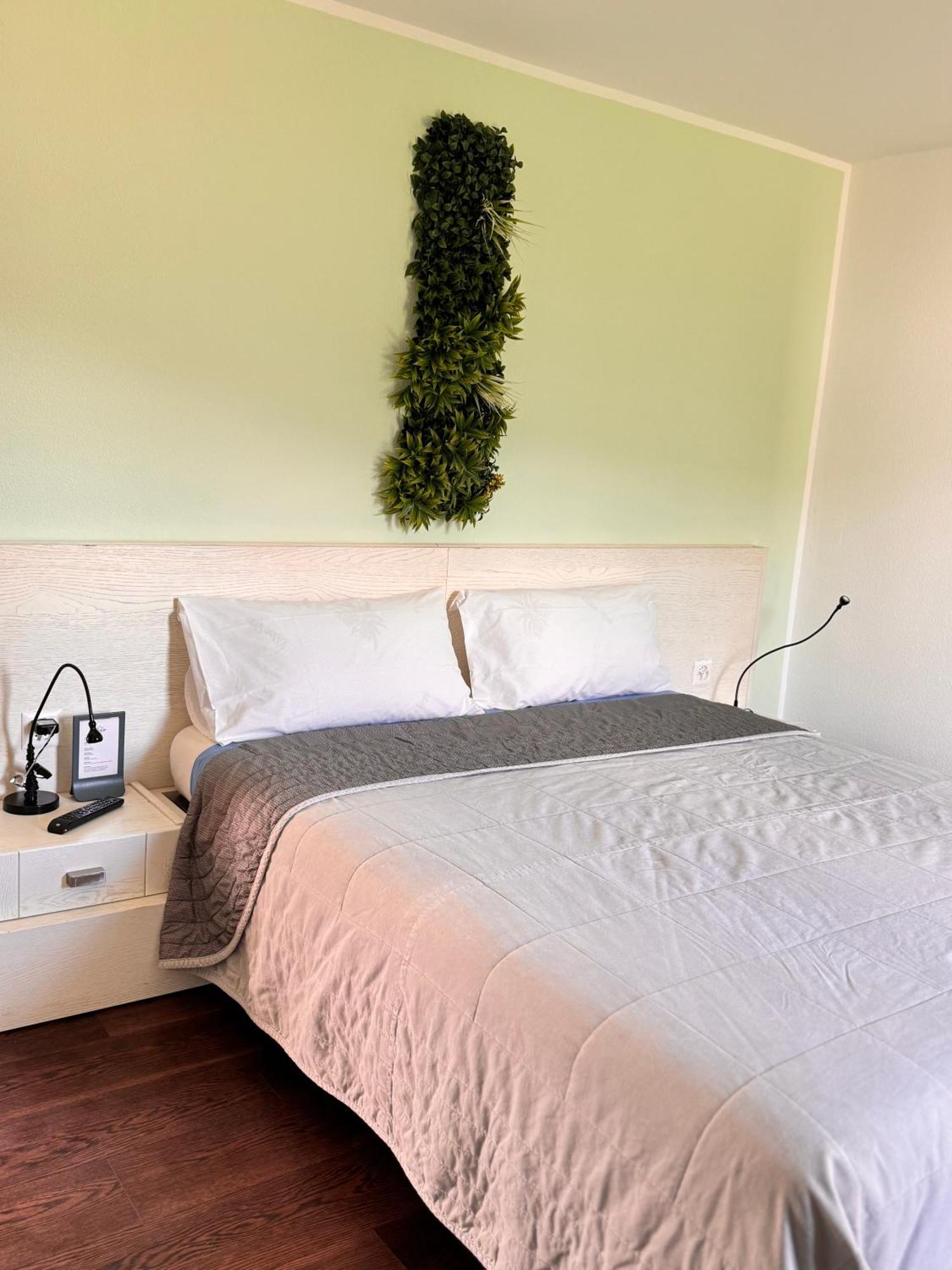Bed and Breakfast Viva Bacco Gambarogno Экстерьер фото