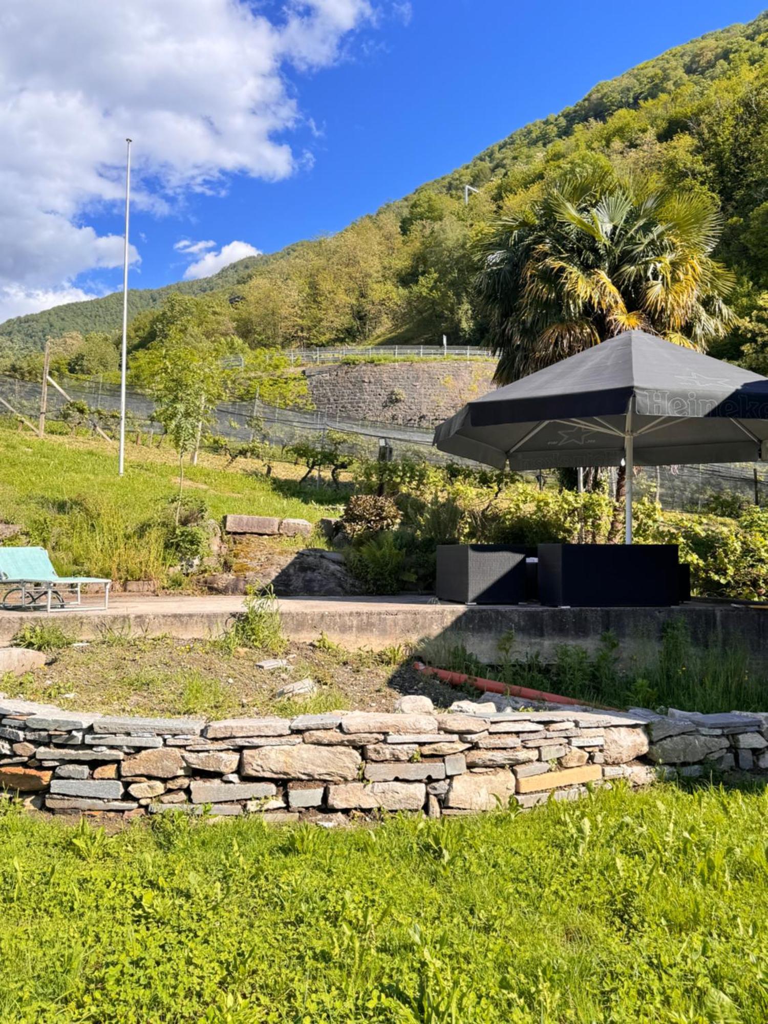 Bed and Breakfast Viva Bacco Gambarogno Экстерьер фото