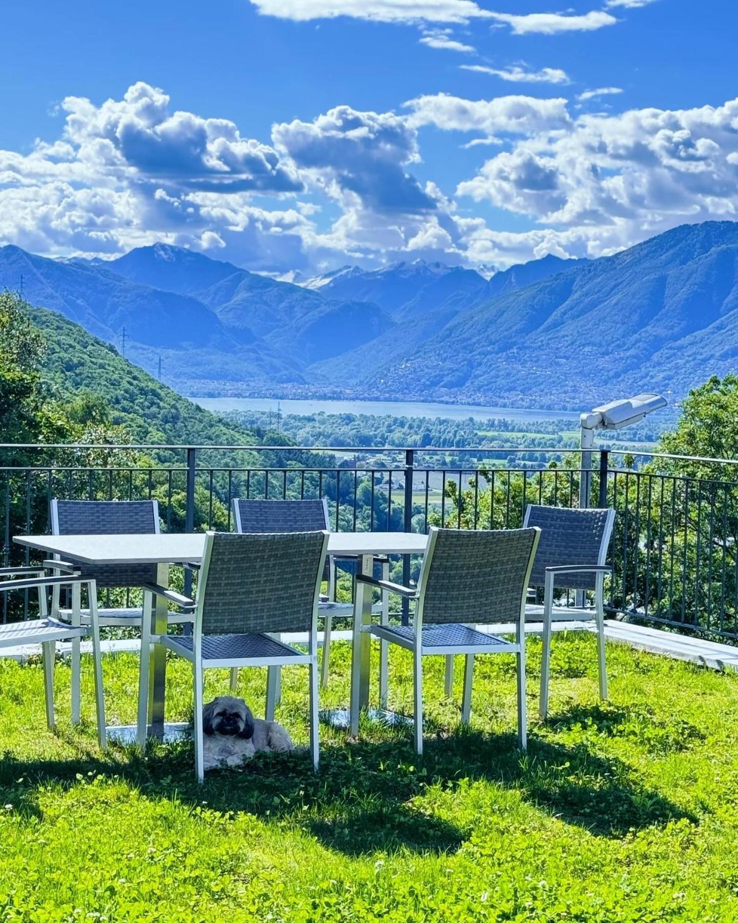 Bed and Breakfast Viva Bacco Gambarogno Экстерьер фото