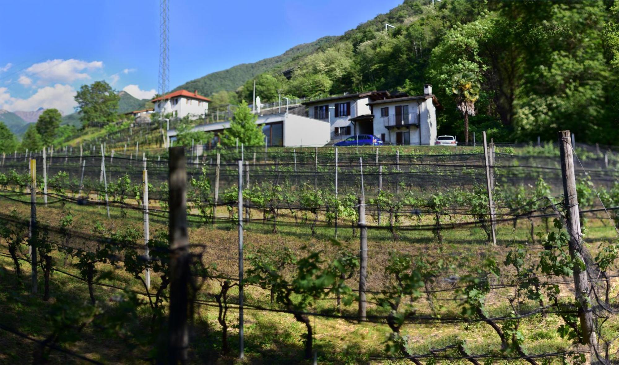 Bed and Breakfast Viva Bacco Gambarogno Экстерьер фото