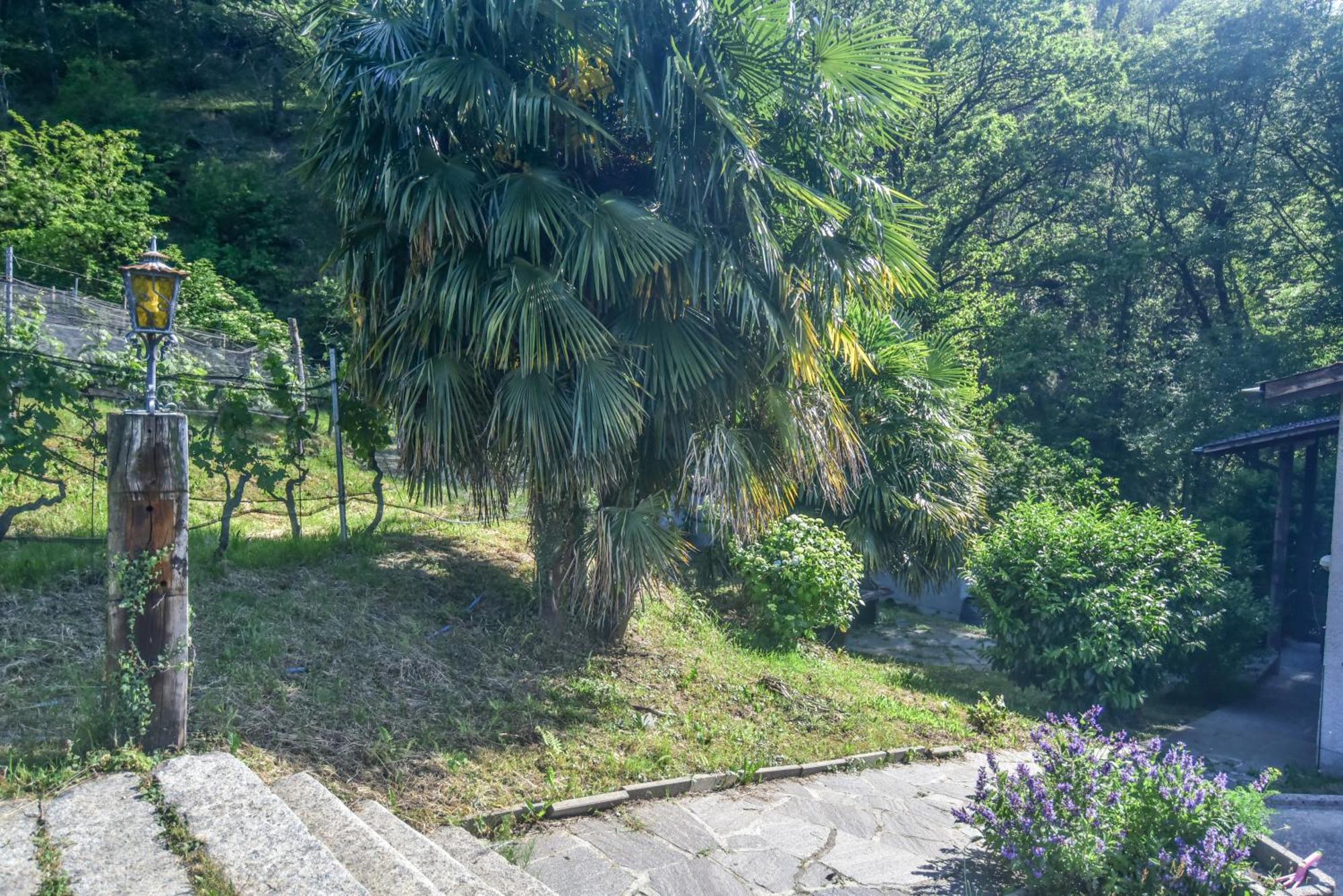 Bed and Breakfast Viva Bacco Gambarogno Экстерьер фото