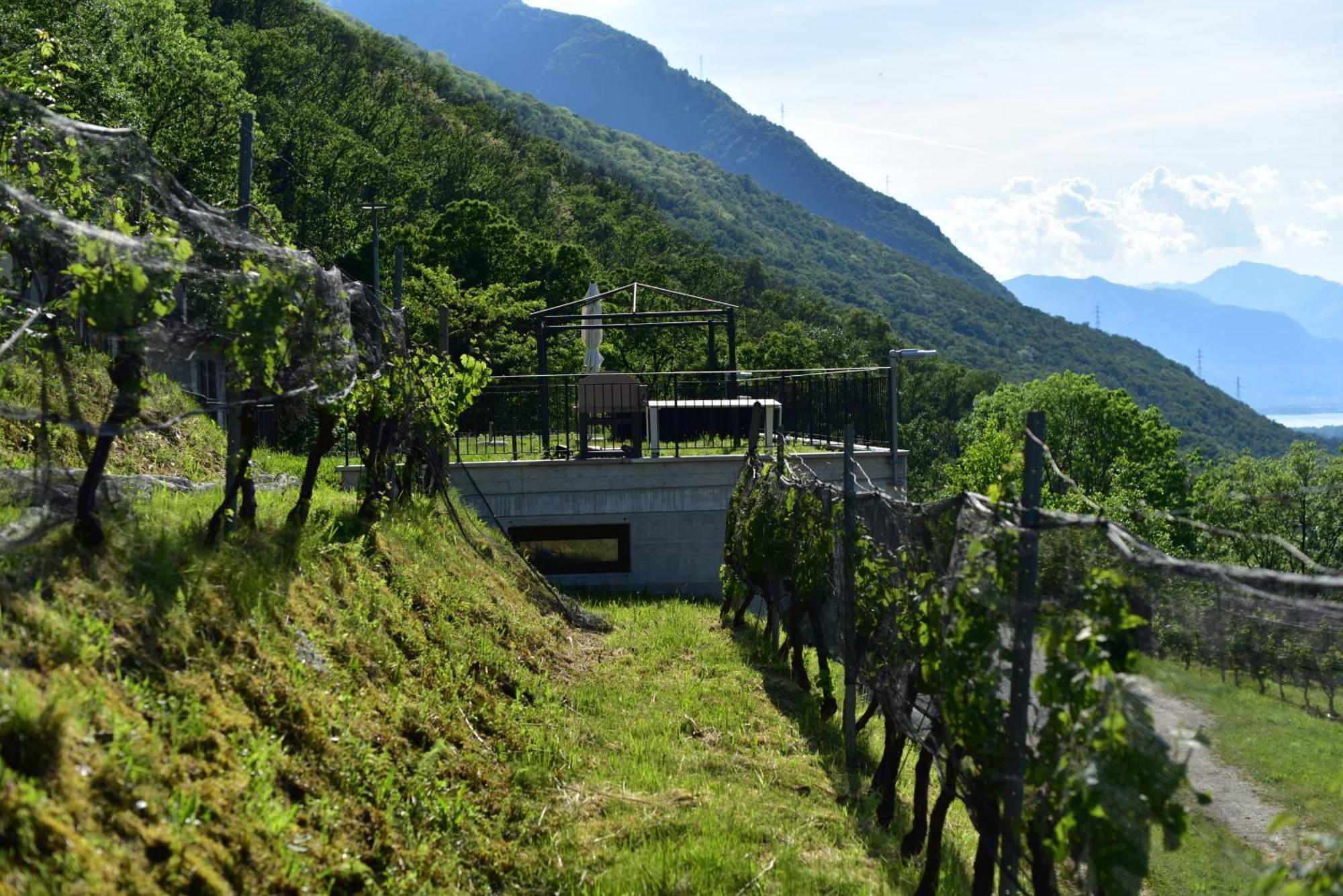 Bed and Breakfast Viva Bacco Gambarogno Экстерьер фото