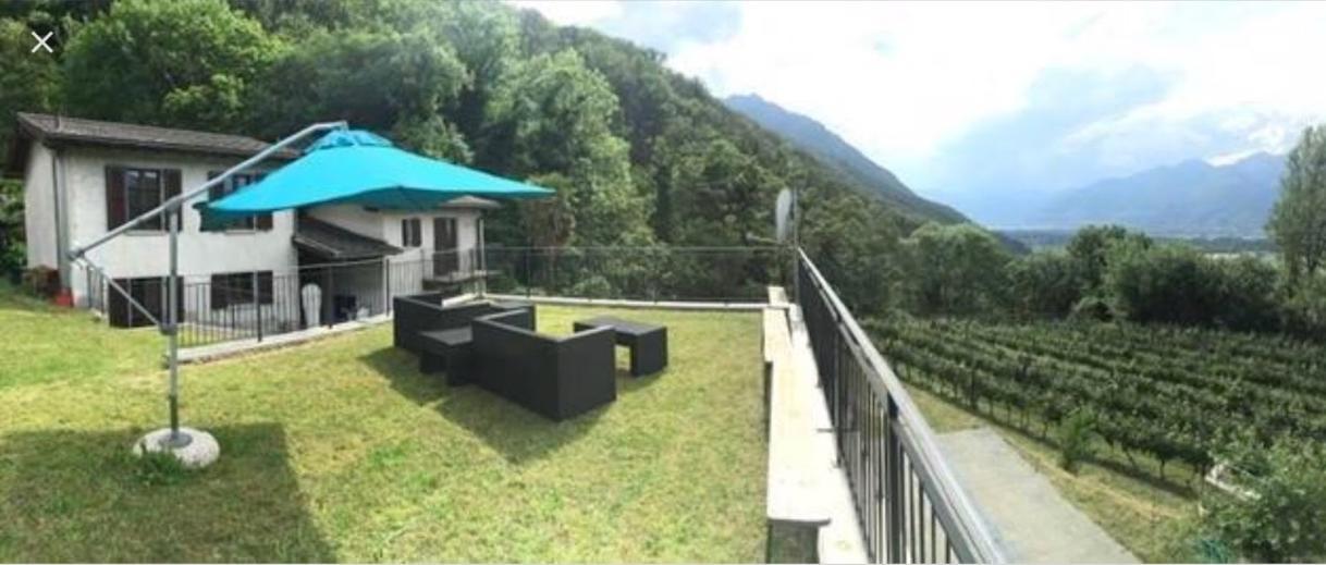 Bed and Breakfast Viva Bacco Gambarogno Экстерьер фото