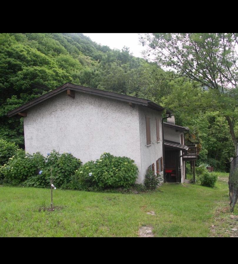 Bed and Breakfast Viva Bacco Gambarogno Экстерьер фото