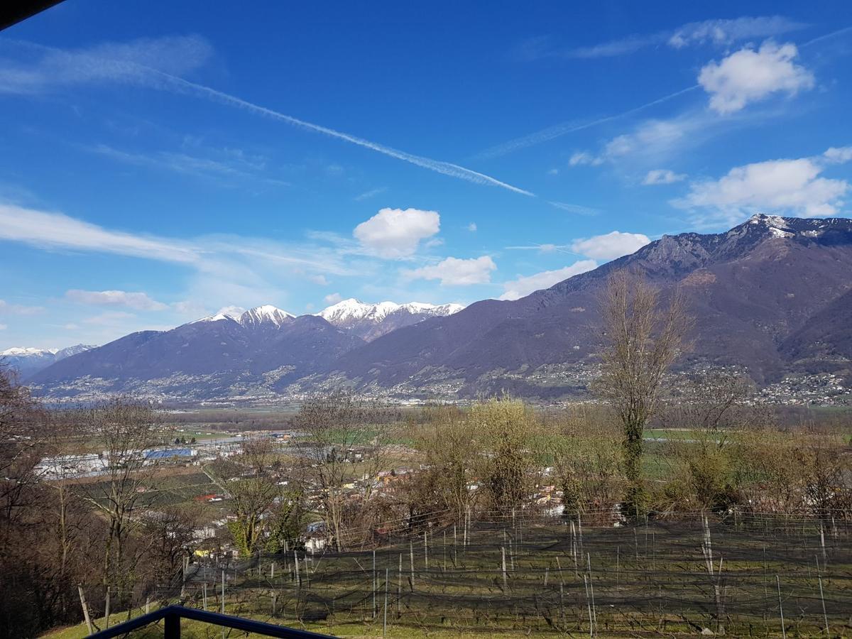 Bed and Breakfast Viva Bacco Gambarogno Экстерьер фото