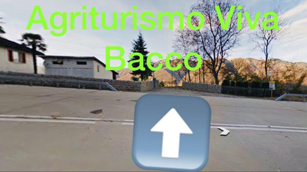 Bed and Breakfast Viva Bacco Gambarogno Экстерьер фото